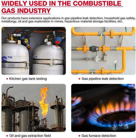 Habotest HT601A Gas Meter CH4
