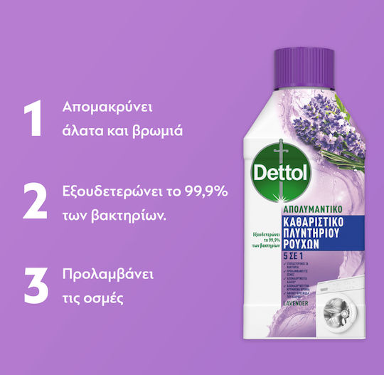 Dettol Απολυμαντικό Υγρό Καθαριστικό Πλυντηρίου 250ml