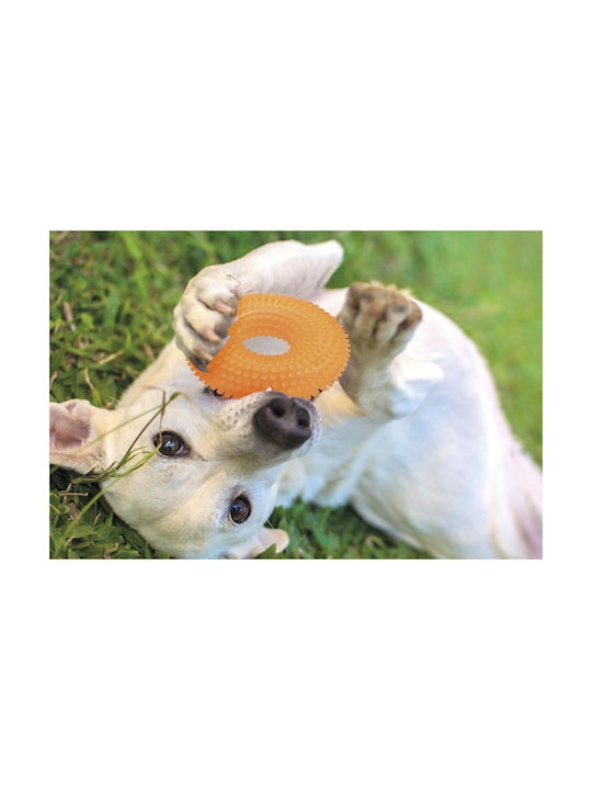 Galileo Toy Dog made of Rubber Orange 1pcs