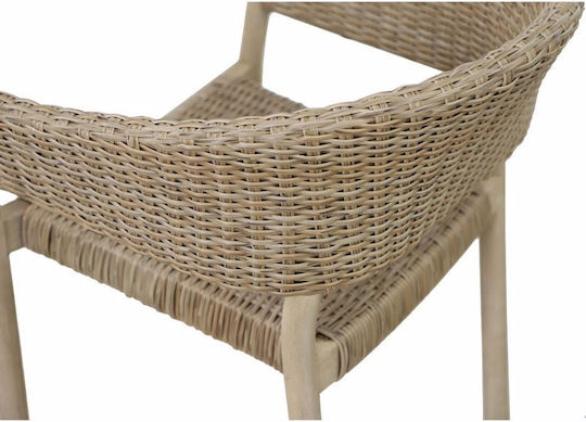 Scaun de exterior Lemn Sumatra Physics 4buc 64x57x78cm