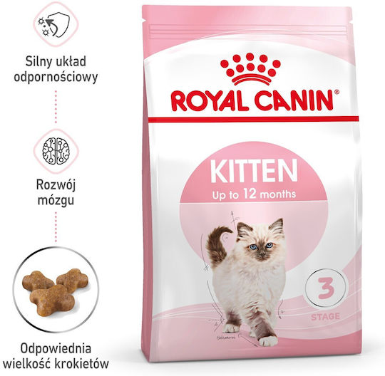 Royal Canin Second Age Kitten Trockenfutter für junge Katzen mit Geflügel 10kg