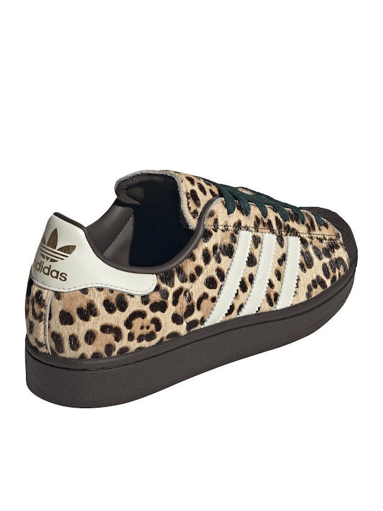 Superstar Ii Sneakers Beige