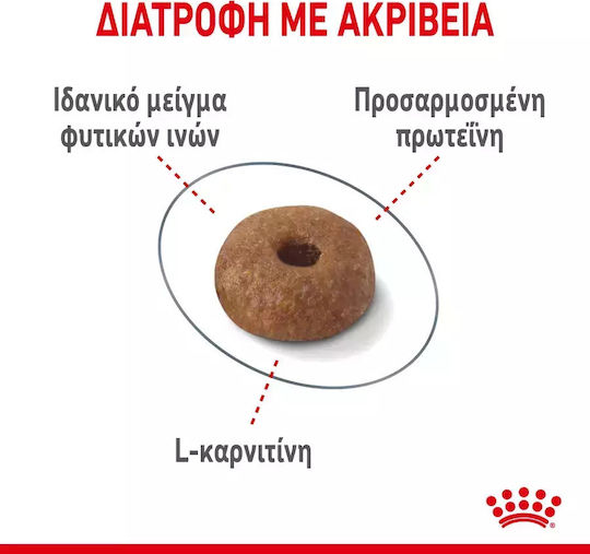 Royal Canin Light Weight Care Dry Food Diet for Adult Cats with Sensitive Urinary with Poultry 0.4kg