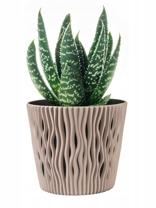 Prosperplast Flower Ghiveci Plastic Maro Prosperplast Flower Ghiveci Plastic Maro