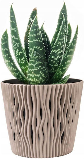 Prosperplast Flower Ghiveci Plastic Maro Prosperplast Flower Ghiveci Plastic Maro