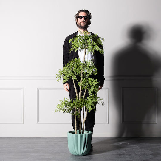 Supergreens Künstlicher Farn Baum 150 cm