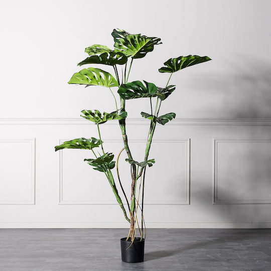 Supergreens Copac Artificial Monstera Verde 150 Cm Supergreens Copac Artificial Monstera Verde 150 Cm
