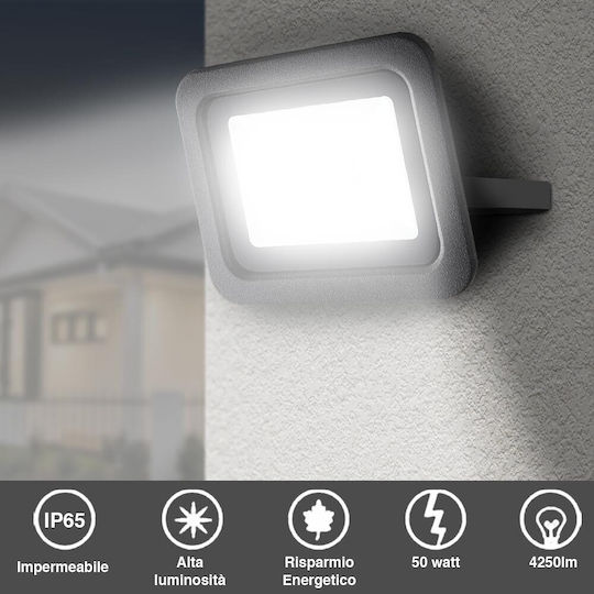 Bakaji Στεγανός Προβολέας LED 50W Ψυχρό Λευκό 6500K IP65