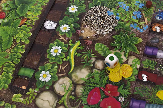 Board Game Run, Little Bug! for 2-4 Players 4+ Years Old (PL) Rebel