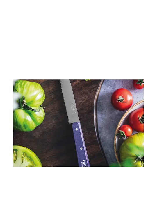 Opinel Knife General Use from Stainless Steel 10cm