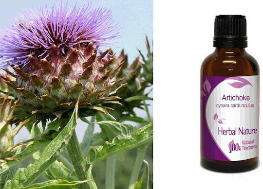 Αγκινάρα Βάμμα Artichoke 50ml Nature & Body
