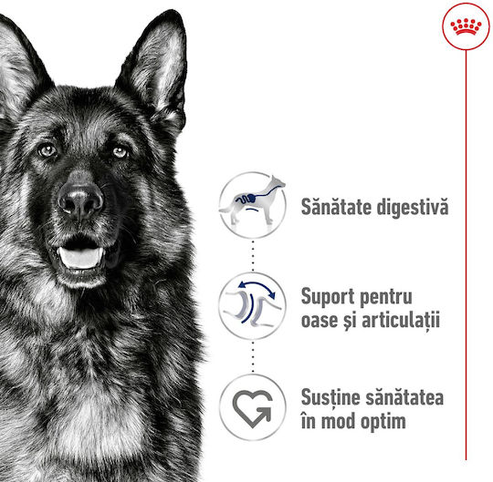 Royal Canin Maxi Adult 12kg Dry Food Gluten-Free for Adult Large Breed Dogs with Poultry and Rice