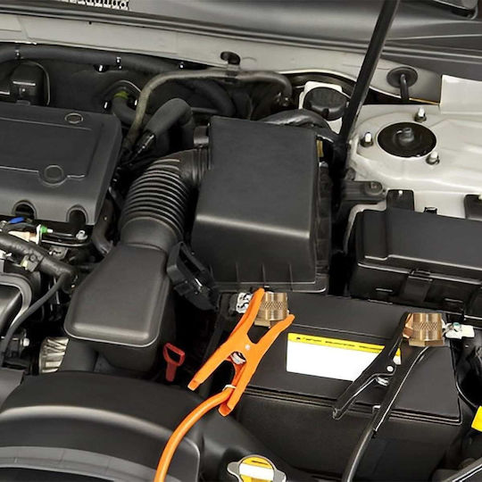 Car Battery Terminals