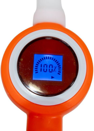 Ruris Pulverizator cu presiune Electric cu Capacitate 2lt 2bar