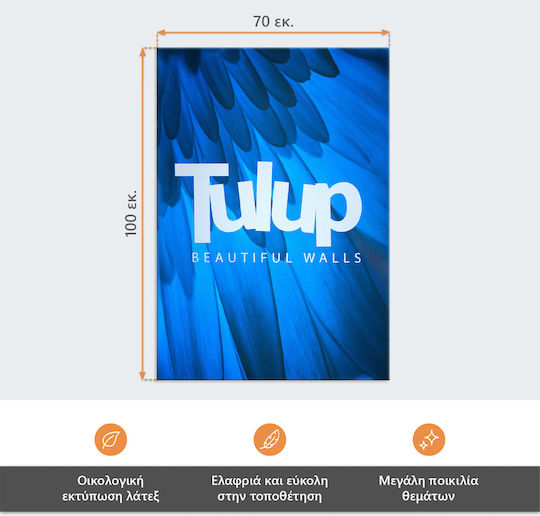 Wall Canvas Painting Emphasis On Quality Detail Graffiti 70x100 Cm