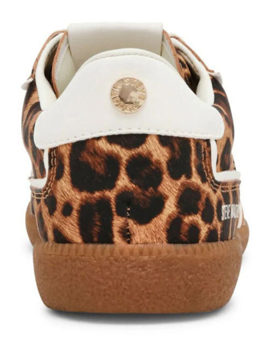 Augustine Sneakers Leopard