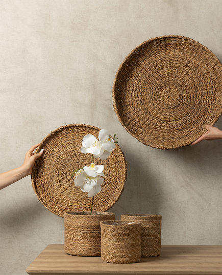 InTheBox Plant Pot Wicker Beige