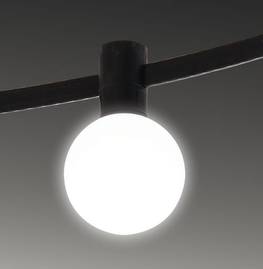 Viokef Single Spot in Black Color