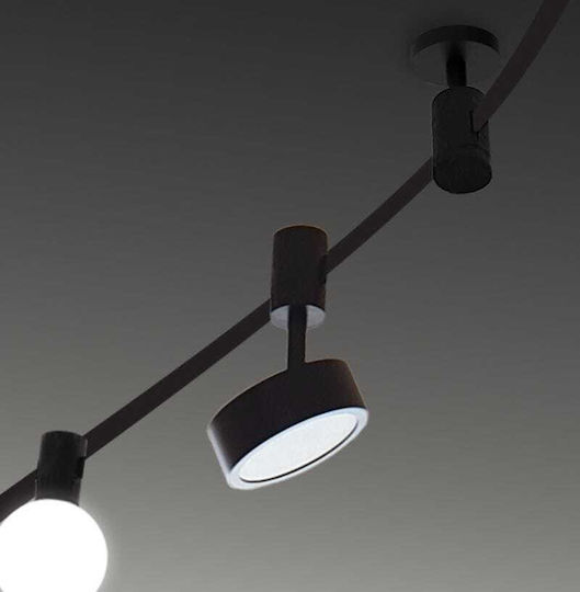 Viokef Single Spot in Black Color