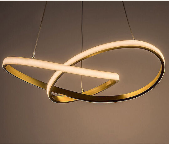 Rabalux Adjustable Pendant Light Gold 120x120cm