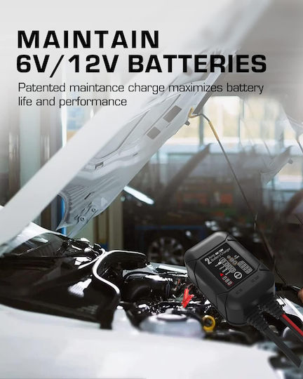 Bygd S2000 Batterieladegerät & -Wartungsgerät für Auto 6/12V 2A