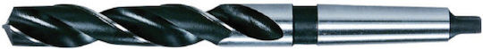 Burghie Cu Cap Cilindric Pentru Metal Din 345 Tip N 118° Mărime 22.00