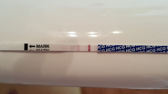 30 Ovulation Test Strips & 10 Pregnancy Test Strips