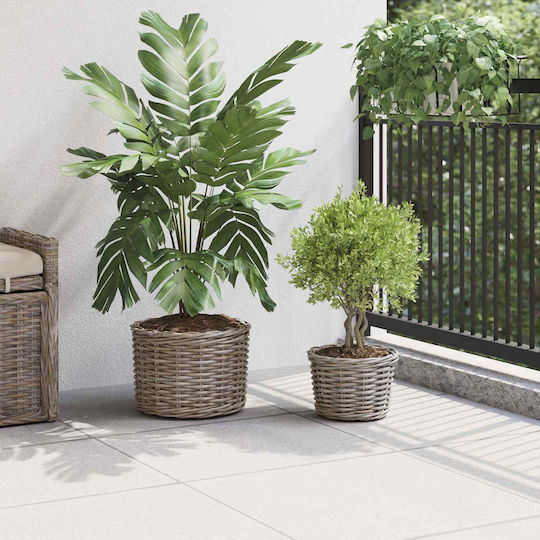 vidaXL Κασπώ Rattan Γκρι 2τμχ