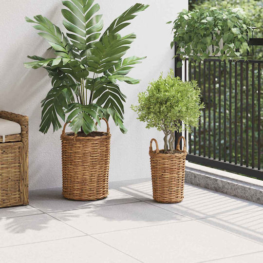 vidaXL Κασπώ Rattan Καφέ 2τμχ