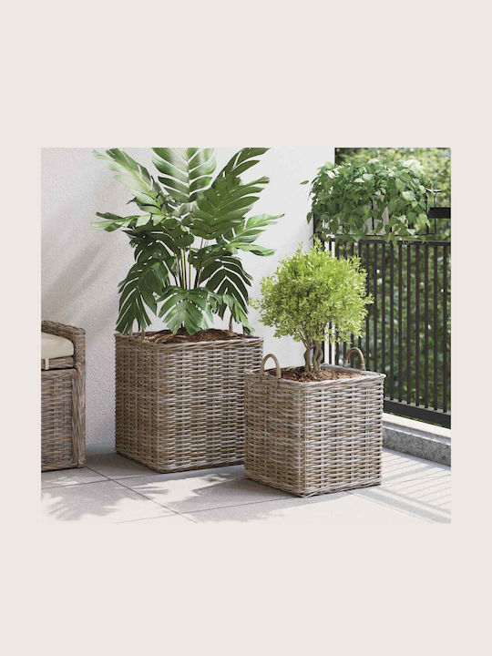 vidaXL Κασπώ Rattan Γκρι 2τμχ