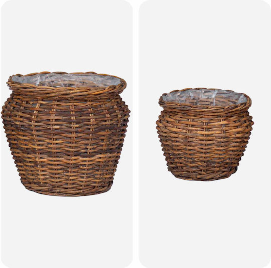 vidaXL Κασπώ Rattan Καφέ 2τμχ