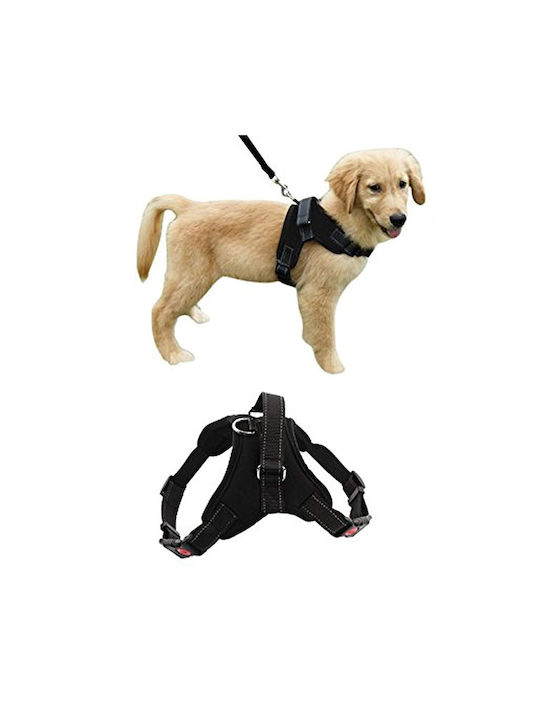 Reflective Dog Ham Comfortable Size L