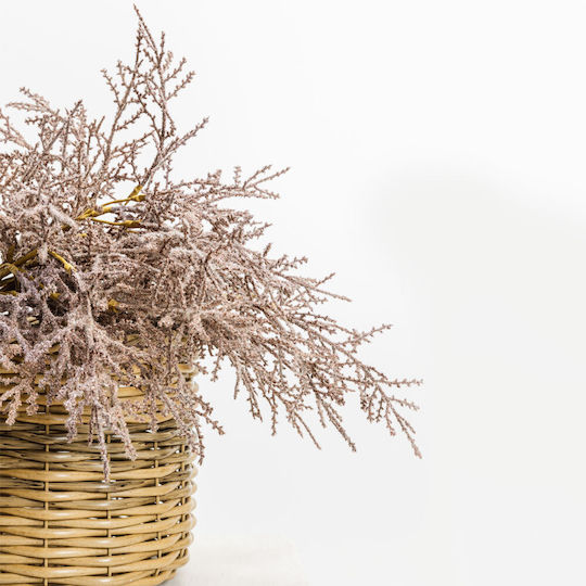 Artificial Decorative Branch Bunny Tails Coral 72cm 12 Pieces InTheBox