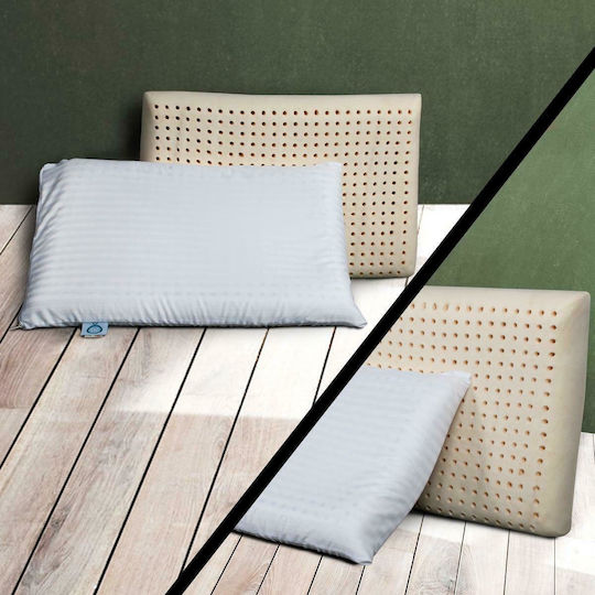 SB Home Latex 40x70x12cm Kopfkissen SB Home Latex 40x70x12cm Kopfkissen