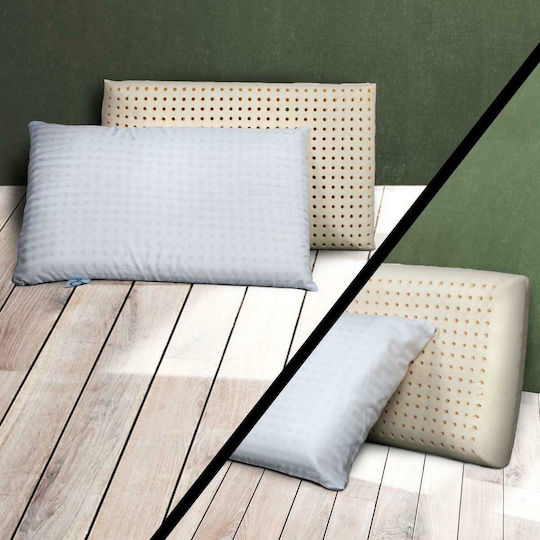 SB Home Latex 40x60x14cm SB Home Latex 40x60x14cm