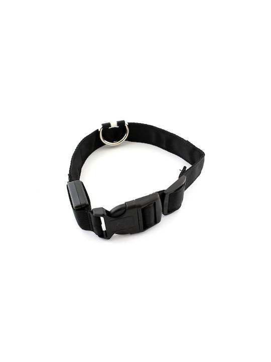 Beleuchtetes Hundehalsband Katzenfarbe Gelb Avx-ag232b