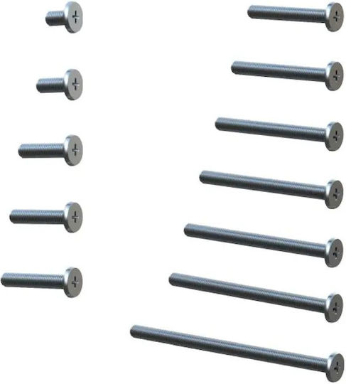 Mesan Screw Isia with Length 6mm