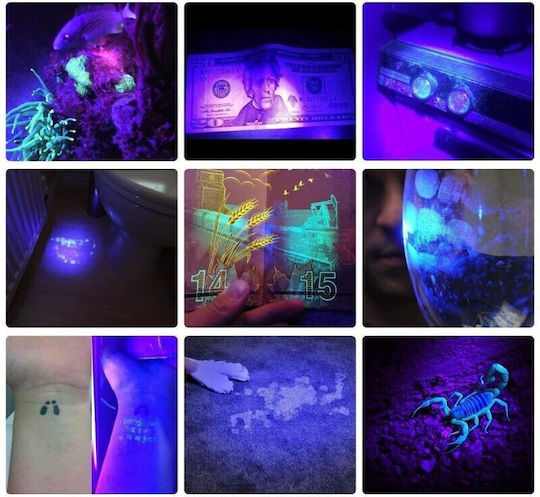 Φακός LED UV