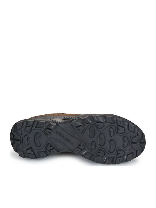 Sneakers Brown