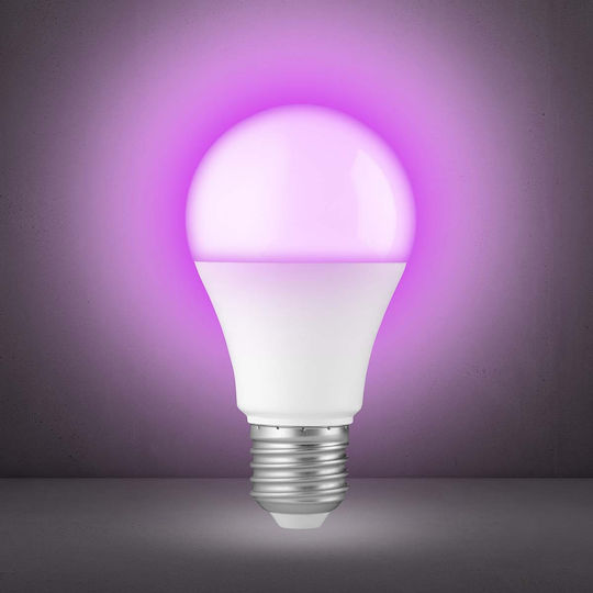 Alecto Bec Inteligent Led Smartbulb10 Culoare Bec Wi-fi E27 9w Alb