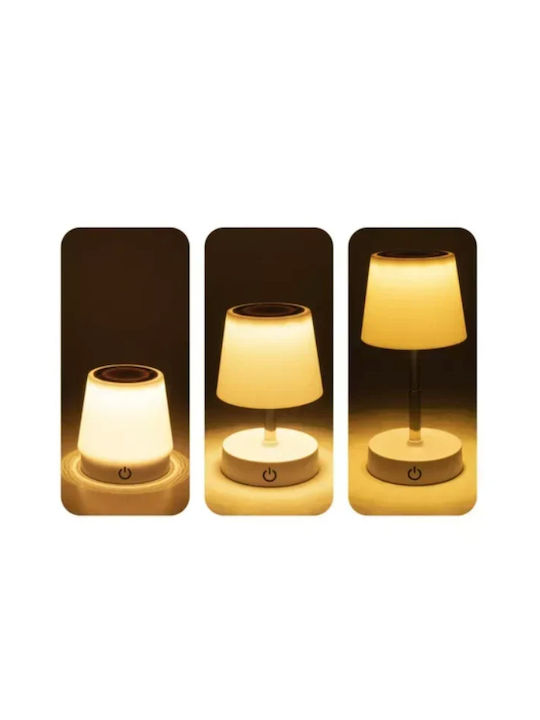 SPV Decorative Lamp