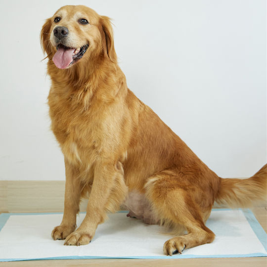Uniq Hundewindeln 40Stück