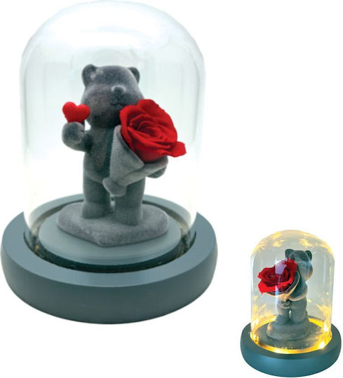 Dekoratives Bär Glas Kuppel Licht & Forever Rose 13×11cm 17775