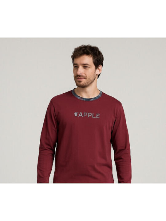Apple Boxer 0510284