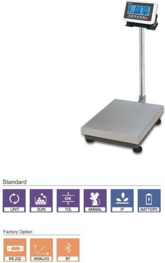 T-Scale Platform Scale with Weighing Capacity of 300kg and Division 50gr