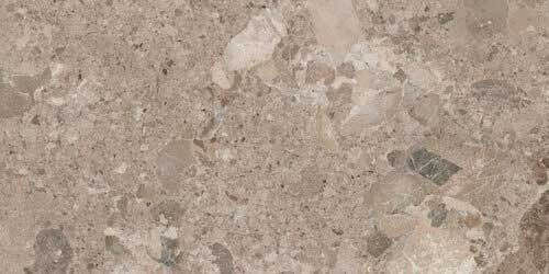 Baldocer Πλακάκι Δαπέδου Εσωτερικού Χώρου Ματ 120x60cm Bronzo