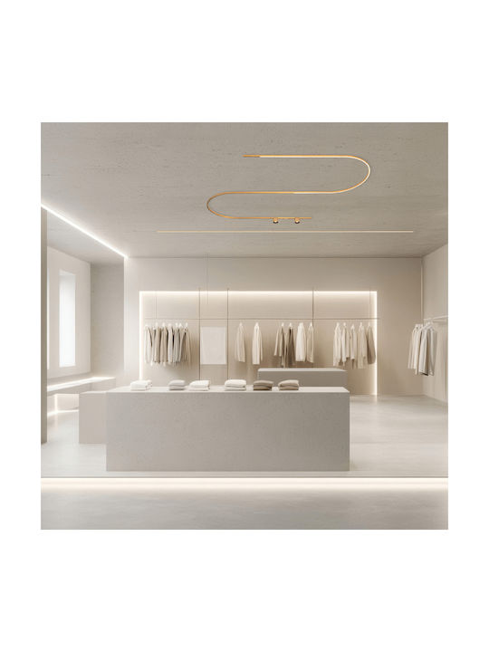 Zambelis Lights Spot in Bronze Color