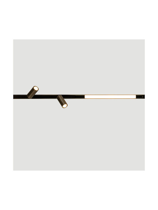 Zambelis Lights LED Warm White Spot in Black Color