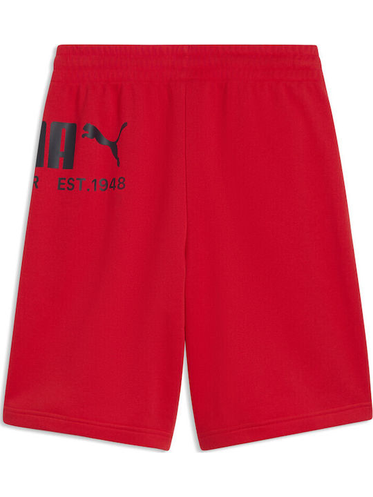 Мъжка Бермуда Shorts