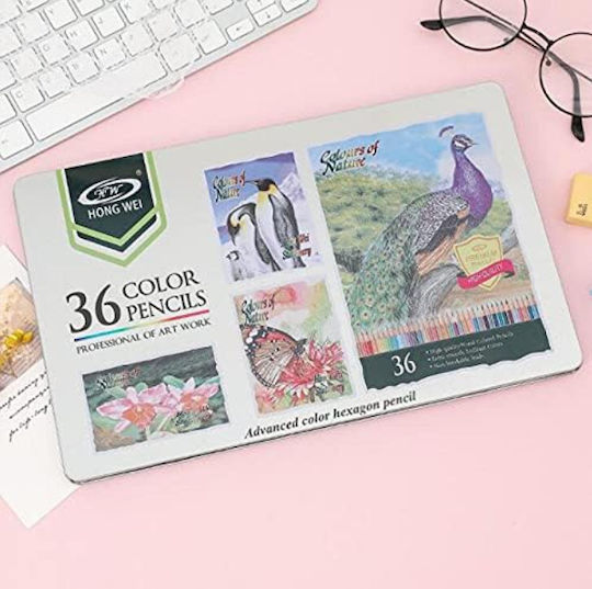 Roza Set of 36 Multicolour Coloured Pencils Nature Animals Drawing Craft Set